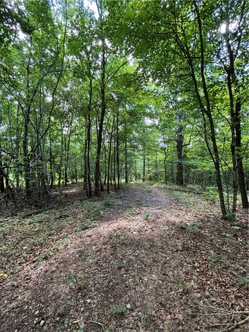 TBD W Tanyard Hollow Road, Bentonville, AR 72712