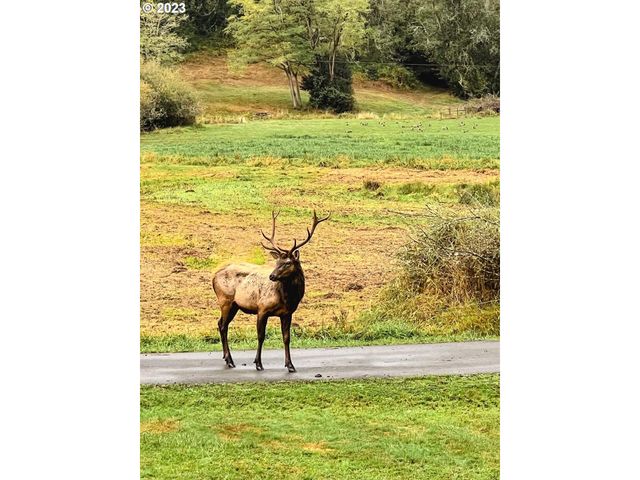 233 JOHANNESON CREEK Rd, Reedsport, OR 97467