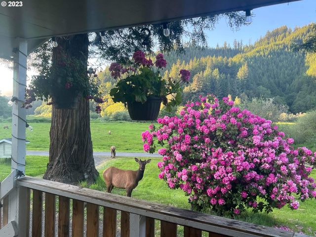 233 JOHANNESON CREEK Rd, Reedsport, OR 97467