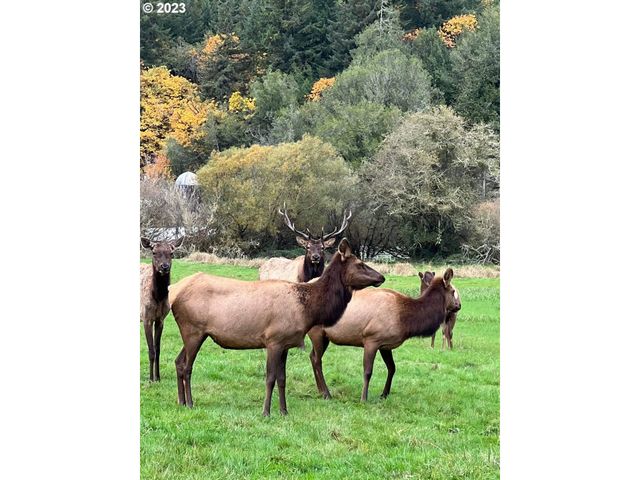 233 JOHANNESON CREEK Rd, Reedsport, OR 97467