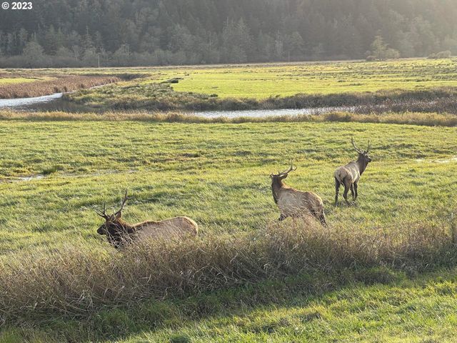 233 JOHANNESON CREEK Rd, Reedsport, OR 97467