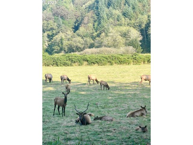 233 JOHANNESON CREEK Rd, Reedsport, OR 97467