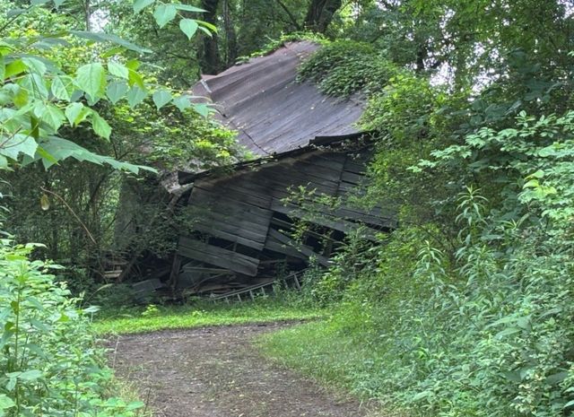 502 Twomey Rd, Centerville, TN 37033