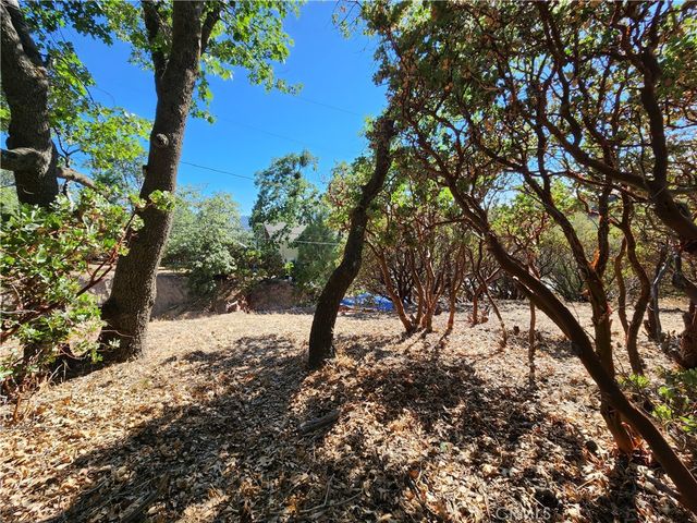 1251 Glacier Drive, Lake Arrowhead, CA 92352