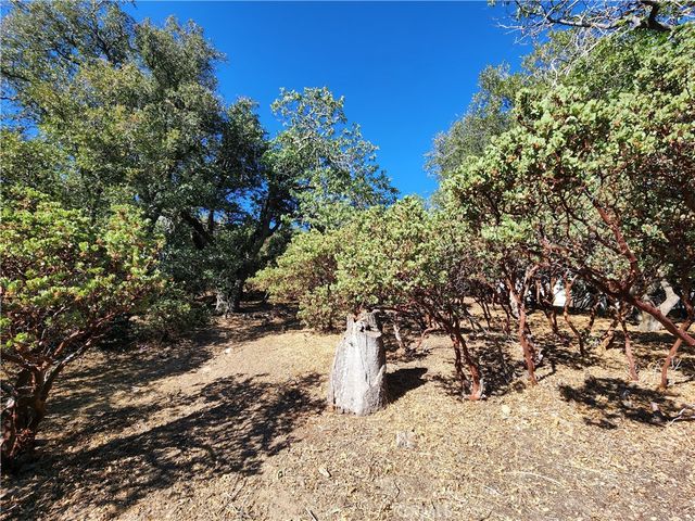 1251 Glacier Drive, Lake Arrowhead, CA 92352