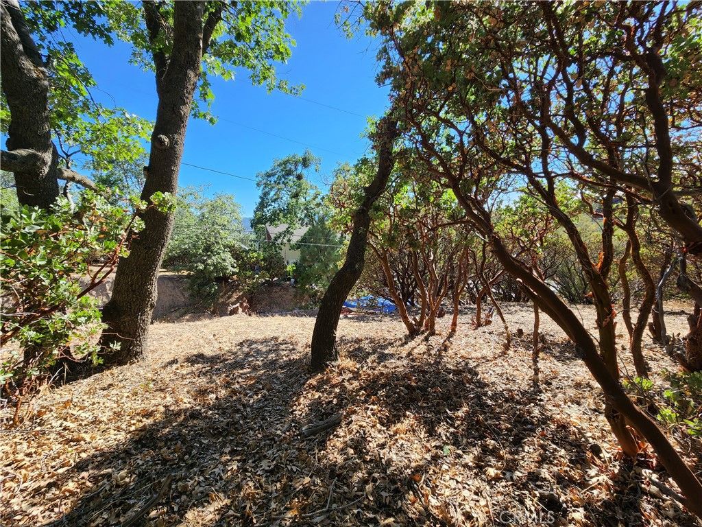 Image 8 of property listing at 1251 Glacier Drive, Lake Arrowhead, CA 92352