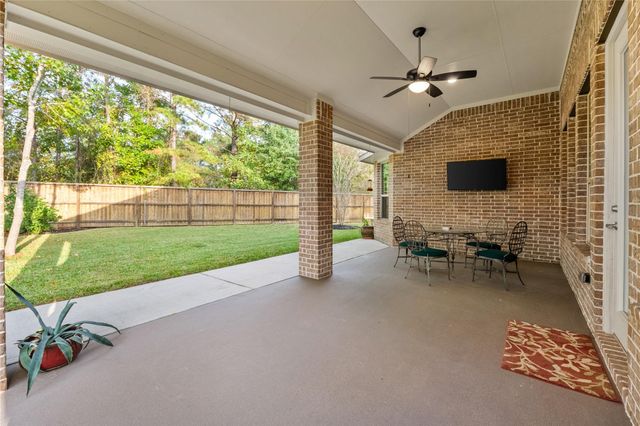 120 Crinium Lily Court, Montgomery, TX 77316