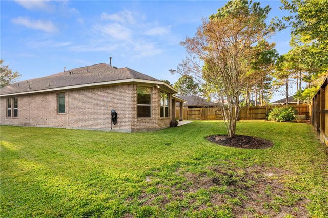 120 Crinium Lily Court, Montgomery, TX 77316