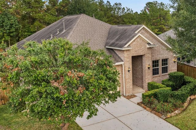 120 Crinium Lily Court, Montgomery, TX 77316