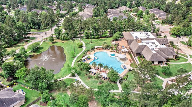 120 Crinium Lily Court, Montgomery, TX 77316