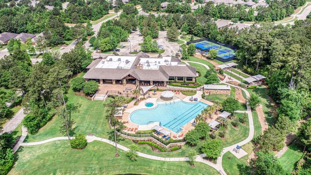 120 Crinium Lily Court, Montgomery, TX 77316