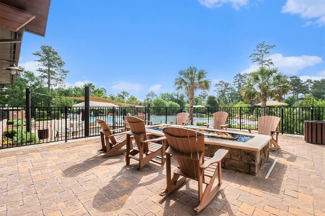 120 Crinium Lily Court, Montgomery, TX 77316