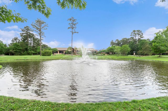 120 Crinium Lily Court, Montgomery, TX 77316