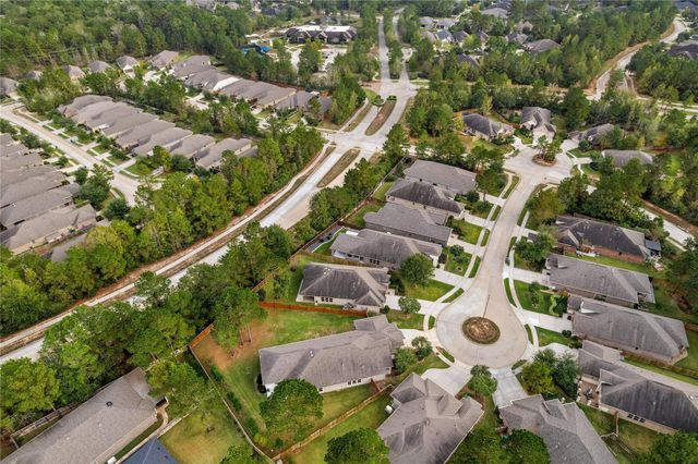 120 Crinium Lily Court, Montgomery, TX 77316