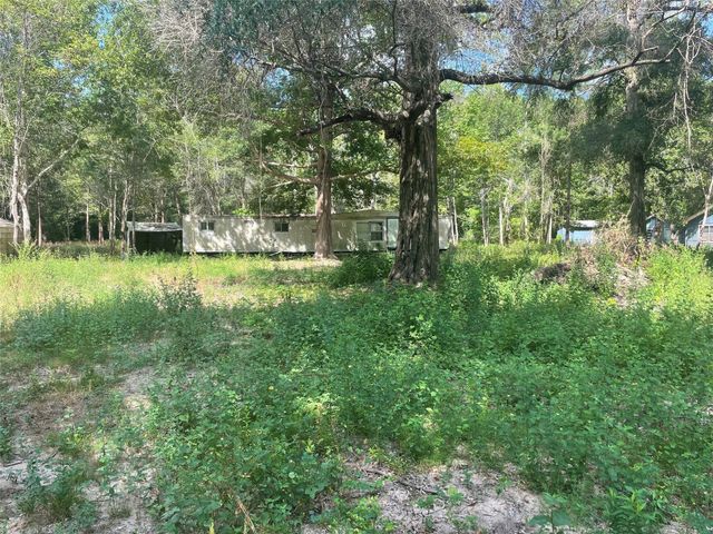 220 Bitter Creek Drive, Shepherd, TX 77371