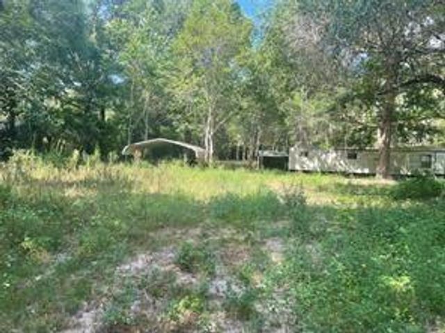 220 Bitter Creek Drive, Shepherd, TX 77371