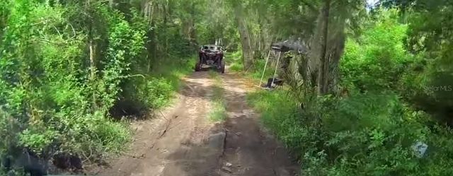 6500 MOTOR ENCLAVE WAY 1214, Tampa, FL 33610