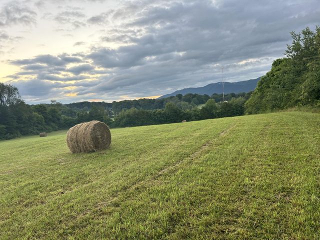 121 County Road 903, Etowah, TN 37331