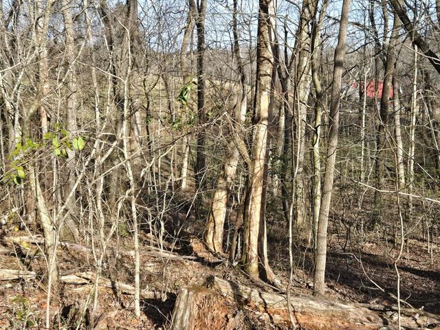 6656 Fires Creek Road, Hayesville, NC 28904