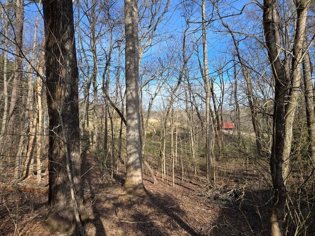 6656 Fires Creek Road, Hayesville, NC 28904