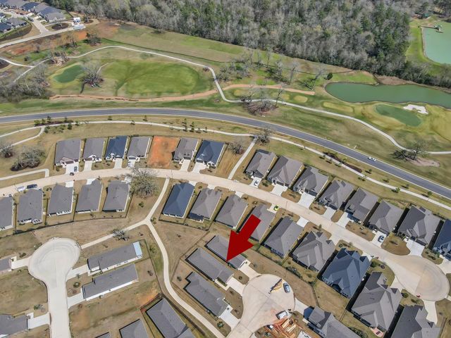 9906 Monarch Landing Cove, Willis, TX 77318