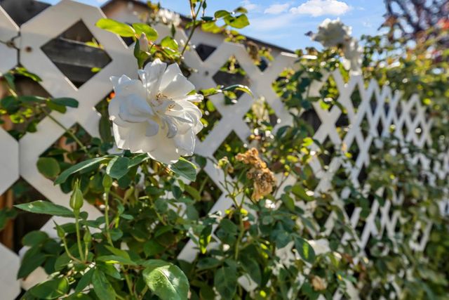 7513 Blue Bell Cir, Sacramento, CA 95829