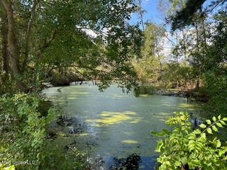 32 Acres +/- Garner Road, Mount Olive, MS 39119