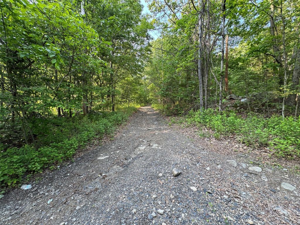 24 Saul Trail, Wallkill, NY 12589