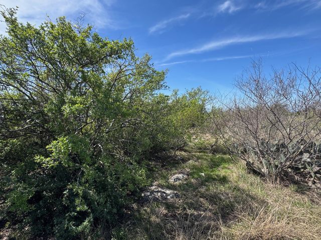 Lot 158 Sierra DR, Bertram, TX 78605