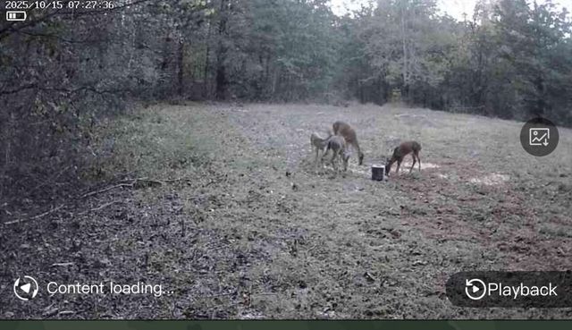 6403 Highway S 341, Chickamauga, GA 30707