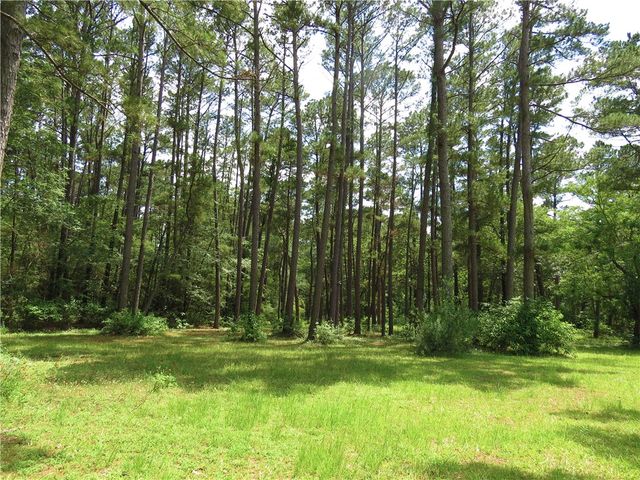 4542 Evergreen Forest Lane, Navasota, TX 77868