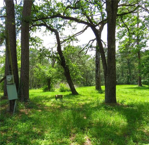4542 Evergreen Forest Lane, Navasota, TX 77868