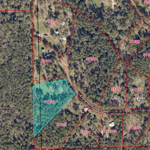 4542 Evergreen Forest Lane, Navasota, TX 77868