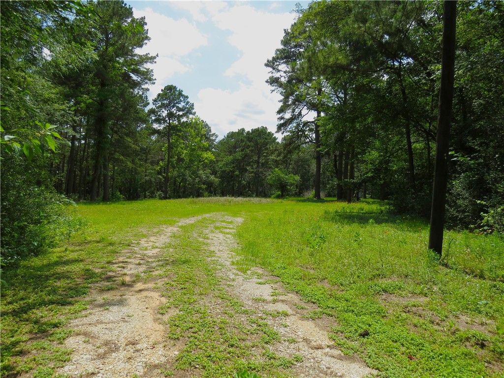 4542 Evergreen Forest Lane, Navasota, TX 77868
