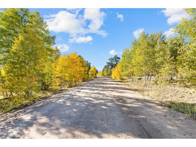 1404 Buffalo Ridge Rd, Como, CO 80432