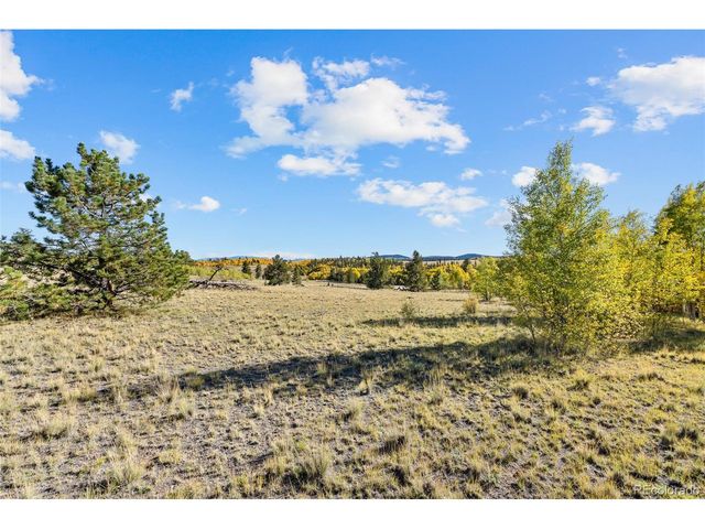 1404 Buffalo Ridge Rd, Como, CO 80432