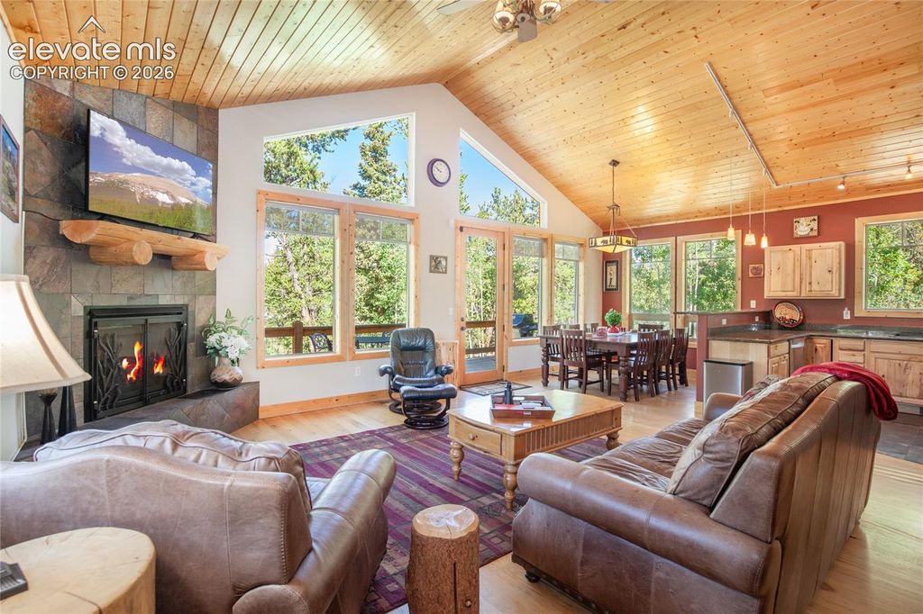 416 Foxtail Drive, Fairplay, CO 80440 — photo 2