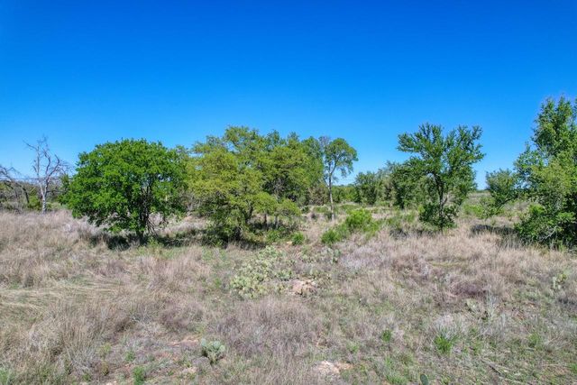 9580 Smith West Ranch RD, Round Mountain, TX 78636
