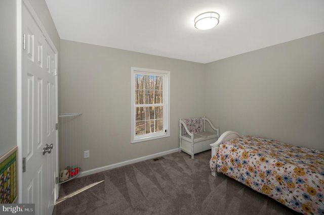 26399 ORANGE SPRINGS RD, Unionville, VA 22567