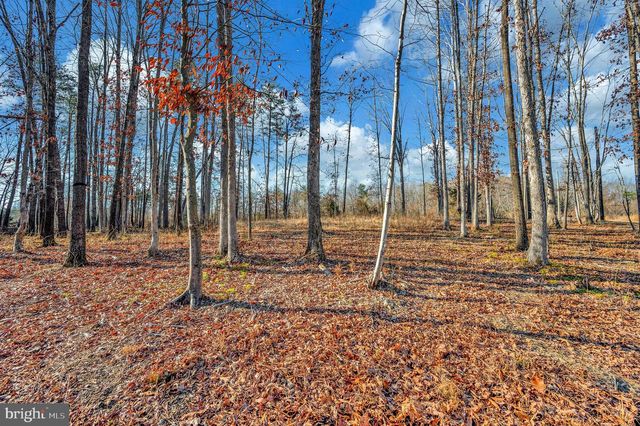 26399 ORANGE SPRINGS RD, Unionville, VA 22567