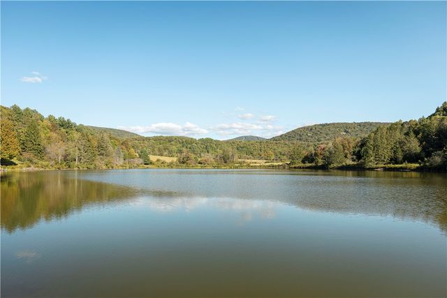 396 Doig Hollow Road, Bovina, NY 13740