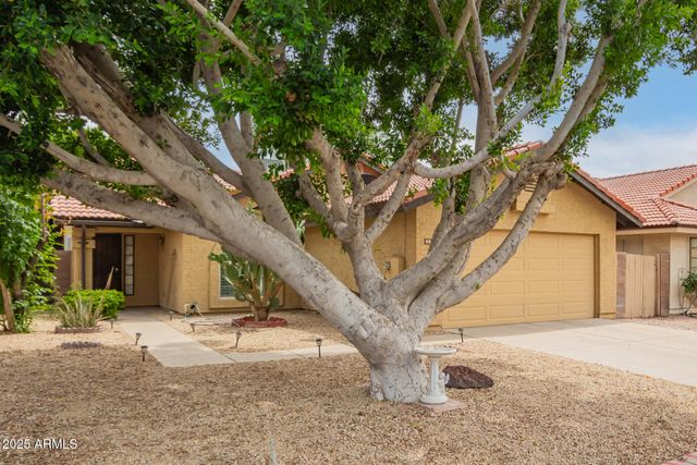 4167 W Gail Drive, Chandler, AZ 85226