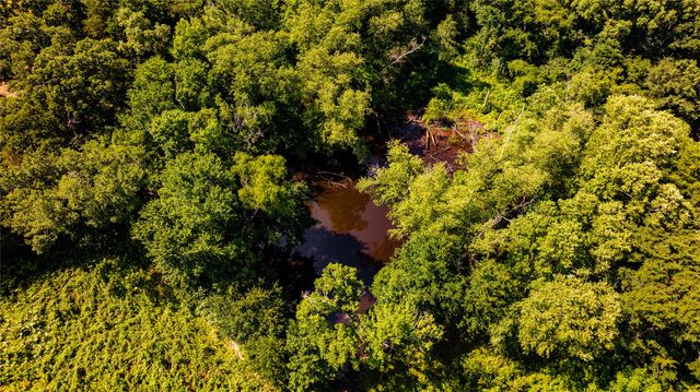 1710 An County Road 463, Montalba, TX 75853