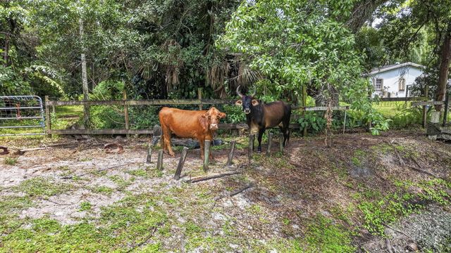 15182 Steffen Lane, Loxahatchee Groves, FL 33470