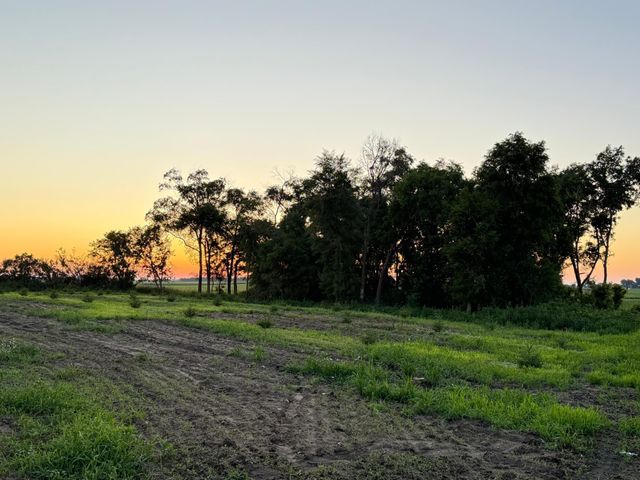 755 240th Avenue SW, Appleton, MN 56208