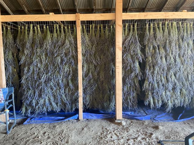 505 N Indianola Avenue, Sanger, CA 93657