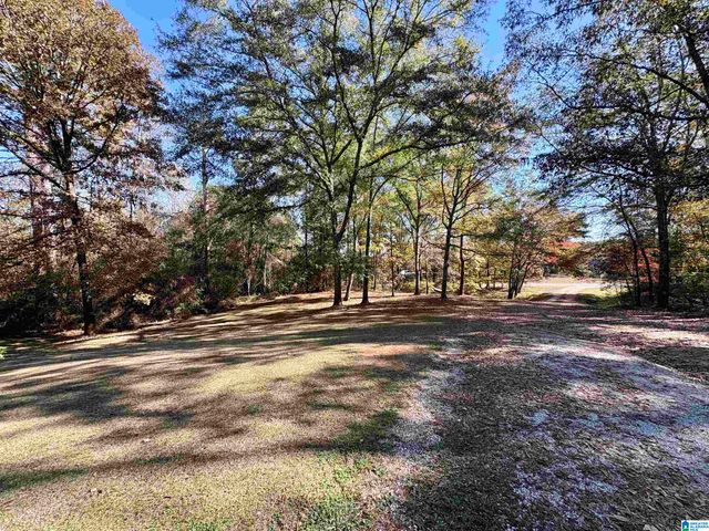 289 OLIVE BRANCH ROAD, Ashland, AL 36251