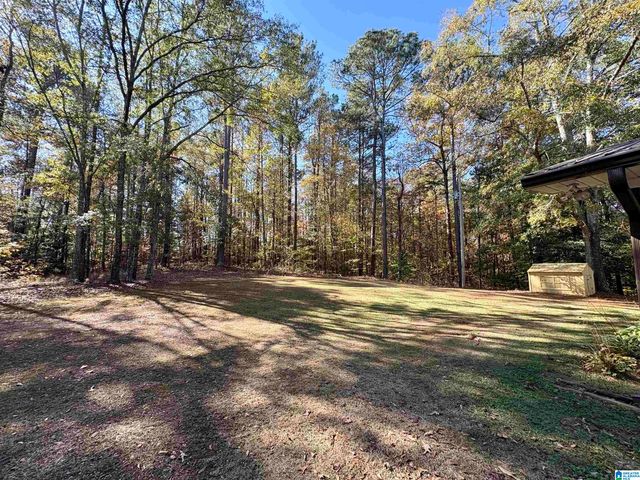 289 OLIVE BRANCH ROAD, Ashland, AL 36251
