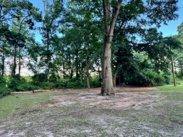 5173 Benenhaley Road, Dalzell, SC 29040