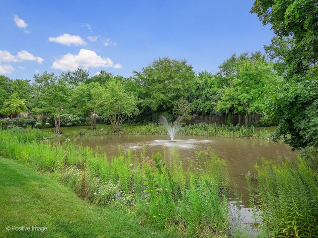 524 Banyon Lane D, La Grange, IL 60525